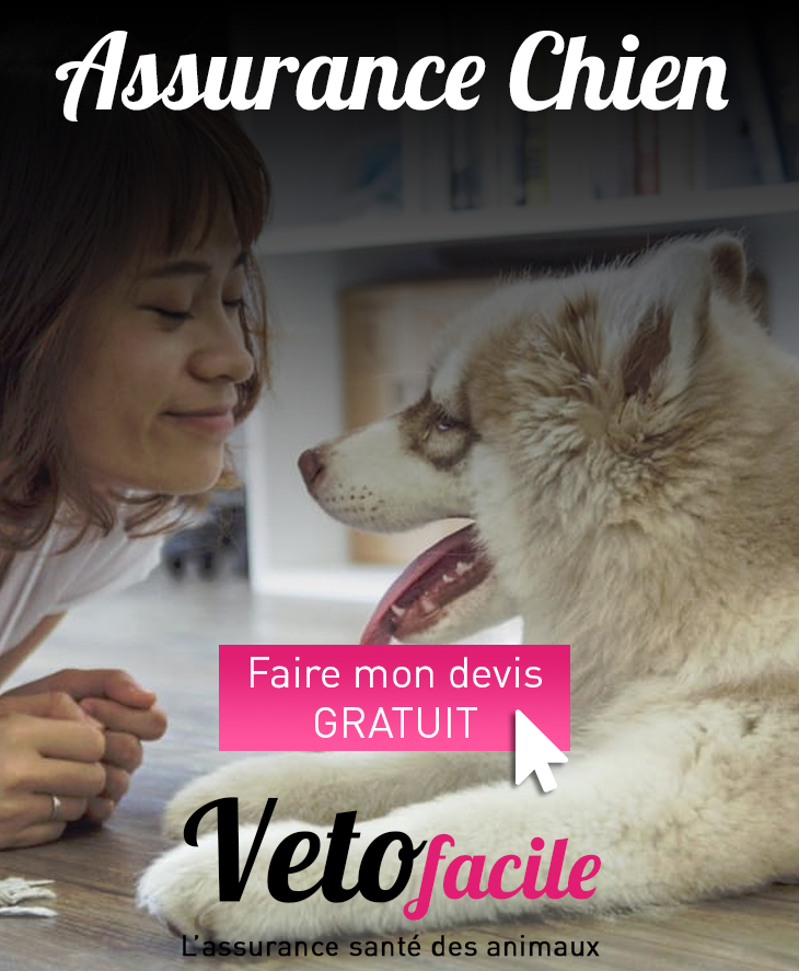 DEVIS GRATUIT